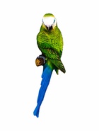 Подвесной декор из полистоуна «Попугай волнистый на ветке», 7×12×29 см - Фото 4
