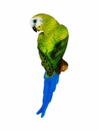 Подвесной декор из полистоуна «Попугай волнистый на ветке», 7×12×29 см - фото 64531227