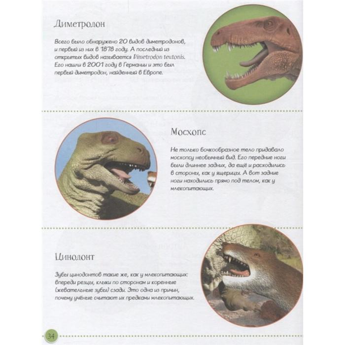 Энциклопедия динозавров и самых необычных доисторических животных - фото 1927575844