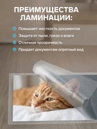 Пленка для ламинирования A3 303×426 мм, 60 мкм, 100 штук, глянцевые, Гелеос - Фото 3