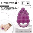 Прорезыватель охлаждающий с водой «Виноградик», от 3 мес. - Фото 1