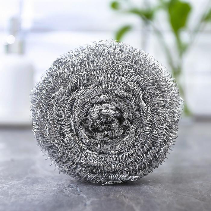 Губка для посуды металлическая Raccoon, спираль оцинкованная, 30 г - Фото 1