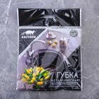 Губка для посуды металлическая Raccoon, спираль оцинкованная, 30 г - Фото 2