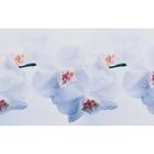 Кухонный фартук ПВХ "Евгения" 3000x600мм - фото 21090454