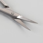 Ножницы маникюрные, загнутые, 9,5 см, в блистере, цвет серебристый, B-555-S-SH - Фото 2