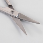 Ножницы маникюрные, загнутые, широкие, 9 см, на блистере, цвет серебристый, В-116-S-SH - фото 9893886