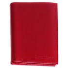 Обложка автодокументы+паспорт, натуральная кожа, красный наплак - Фото 1