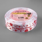 Лента атласная «От Дедушки Мороза», 25 мм, 23±1 м, белая - Фото 3