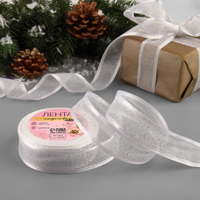 Лента капроновая «Блёстки», 25 мм, 18±1 м, цвет серебряный