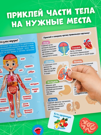 Наклейки «Секреты тела человека», 16 стр.