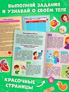 Наклейки «Секреты тела человека», 16 стр. - Фото 4