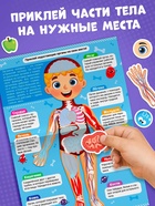 Наклейки «Как устроено моё тело», 16 стр. - Фото 3