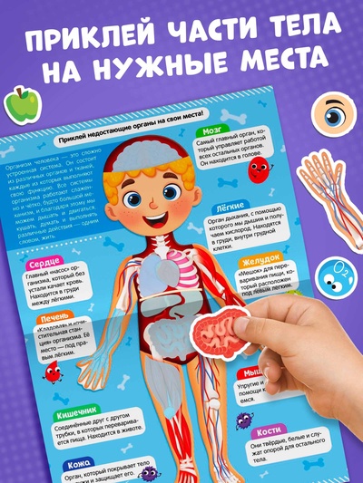 Наклейки «Как устроено моё тело», 16 стр.