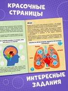 Наклейки «Как устроено моё тело», 16 стр. - Фото 4