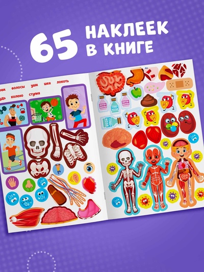 Наклейки «Как устроено моё тело», 16 стр.