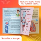 Наклейки «Как устроено моё тело», 16 стр. - Фото 6