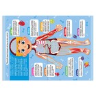 Наклейки «Тело человека», набор 2 шт. по 16 стр. - Фото 2