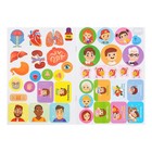 Наклейки «Тело человека», набор 2 шт. по 16 стр. - Фото 5