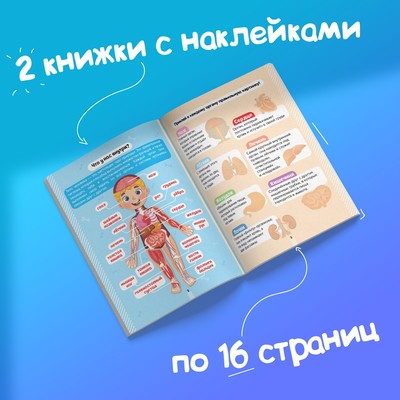 Наклейки «Тело человека», набор 2 шт. по 16 стр.