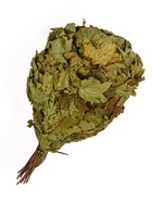 Веник для бани, кленовый, в пакете - Фото 5