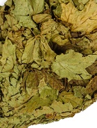 Веник для бани, кленовый, в пакете - Фото 6