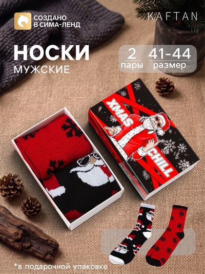 Носки мужские новогодние KAFTAN Xmas chill, 2 пары, размер 41-44 (27-29 см)
