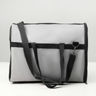 Сумка - переноска для животных "Лонги", 41 х 24 х 30 см, серая - фото 45542947