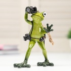 Фигурка полистоун лак «Лягушонок фоторепортёр», 12×5.5×9.5 см - Фото 2