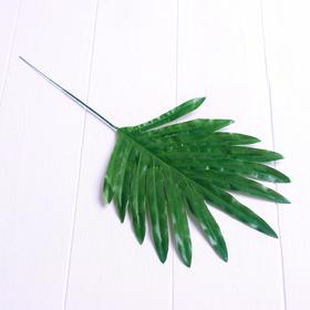 Лист искусcтвенный «Пальма», 40 × 17 см (комплект 20 шт)