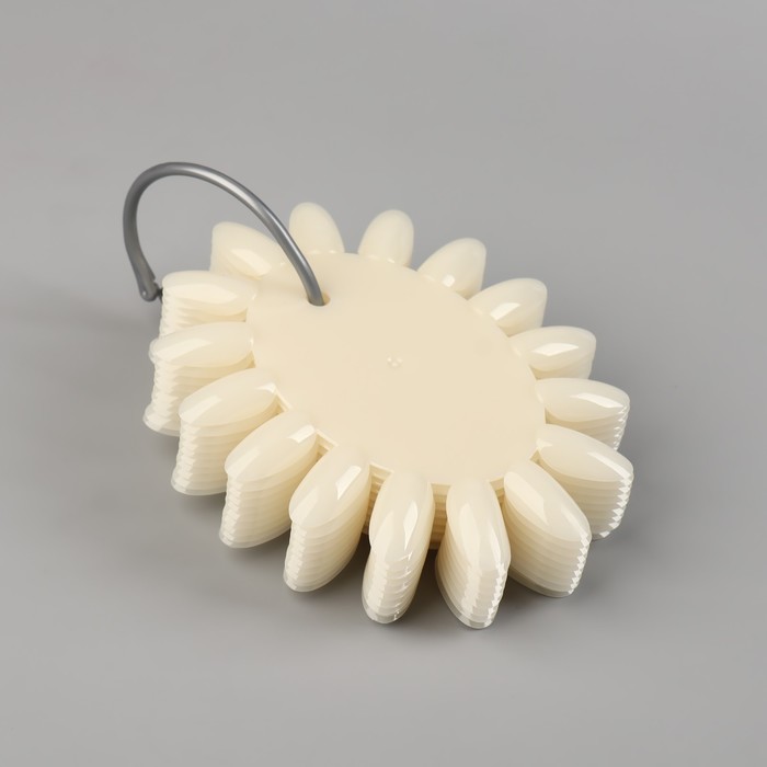 Палитра для лаков «Овальная», 10 шт по 16 ногтей, цвет слоновая кость 20342