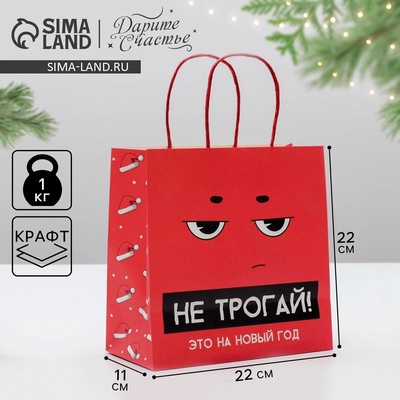 Пакет подарочный новогодний «Это на новый год», 22×22×11 см