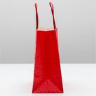 Пакет подарочный новогодний «Ого! Какой подарок», 22 х 22 х 11 см - Фото 3