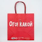 Пакет подарочный новогодний «Ого! Какой подарок», 22 х 22 х 11 см - Фото 4