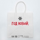 Пакет подарочный новогодний «Год Новый, а ты старый», 22 х 22 х 11 см - Фото 7