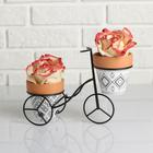 Набор горшков "Велосипед" на подставке, 9*10см - Фото 1