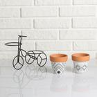 Набор горшков "Велосипед" на подставке, 9*10см - Фото 2