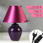 Лампа настольная 32006/1 E14 40 Вт фиолетовый 17×17×24 см RISALUX - Фото 2