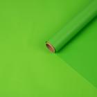 Пленка матовая, зеленая мята, 0,6 х 10 м - Фото 1