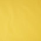 Пленка матовая, незрелый желтый, 0,6 х 10 м - Фото 2
