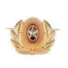 Кокарда со звездой, в лавре, 5.5?4.5 см (комплект 10 шт) - фото 60785498