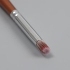Кисть для дизайна ногтей «Омбре», 15,5 см, d - 6 × 9 мм, цвет коричневый - Фото 4