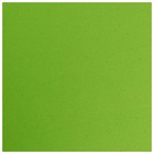 Коврик для йоги Sangh, 183х61х0,7 см, цвет зелёный - Фото 6