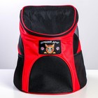 Рюкзак для переноски животных «Лучший друг» 31х23х30 см - фото 6312882