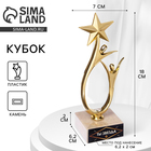 Кубок «Ты звезда», наградная фигура, золото, пластик, золото, 18 х 5,5 см. - фото 10797530