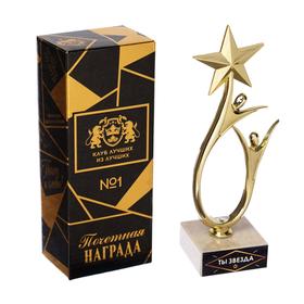 Кубок «Ты звезда», наградная фигура, золото, 18 х 5,5 см, пластик, золото