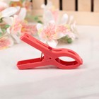 Прищепки бельевые 7 см, 16 шт - Фото 2