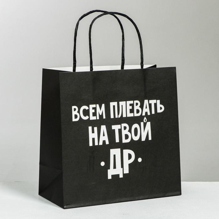Пакет подарочный «Всем плевать на твой др», 22 × 22 × 11 см - Фото 1