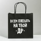 Пакет подарочный «Всем плевать на твой др», 22 × 22 × 11 см - Фото 2