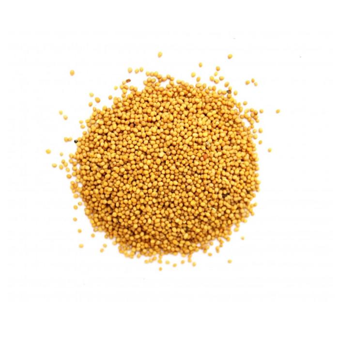 Горчица семена белые - новое поступление 06 марта 2025г. в интернет магазине Ива