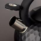 УЦЕНКА Чайник со свистком Magistro Galaxy, 3 л, индукция, ручка soft-touch, цвет чёрный - Фото 2